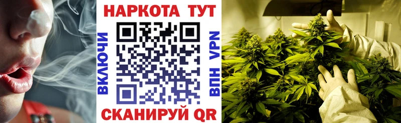 Где продают наркотики Домодедово Гашиш  Конопля  АМФ  Мефедрон  APVP 