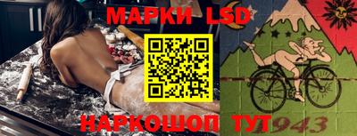 гидра Гатчина