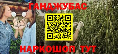 гидра Гатчина