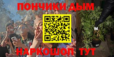 гидра Гатчина