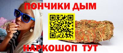 гидра Гатчина