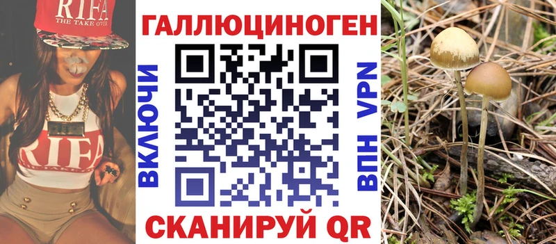 Галлюциногенные грибы Magic Shrooms  купить закладку  Домодедово 