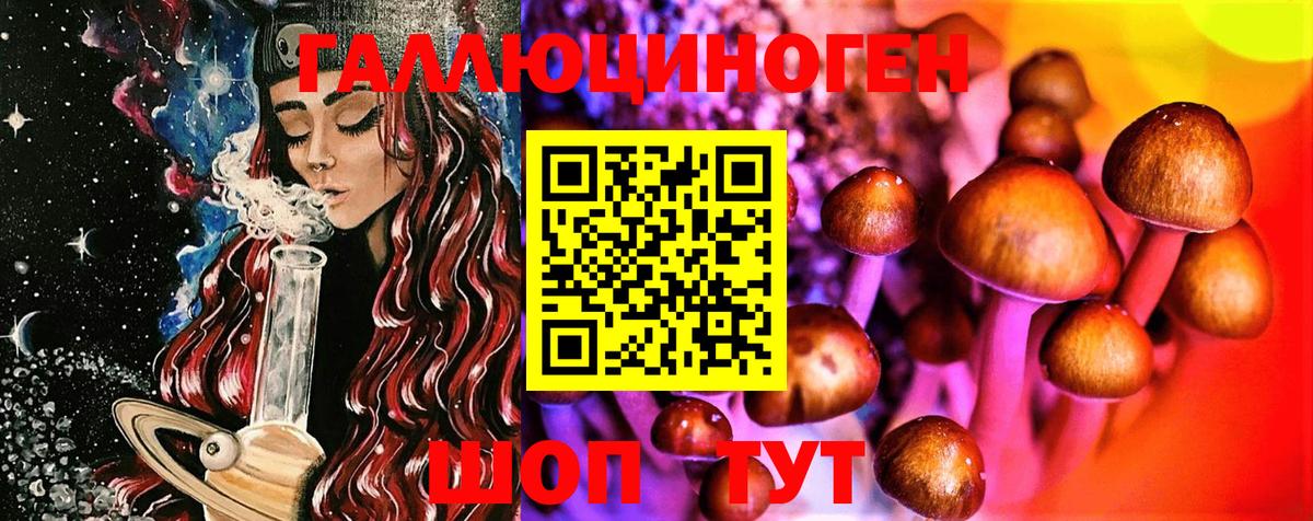 Псилоцибиновые грибы Cubensis Домодедово